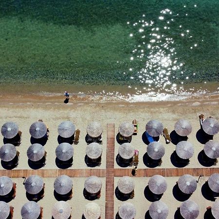 Beach Front Villa Nea Kallikrateia Dış mekan fotoğraf