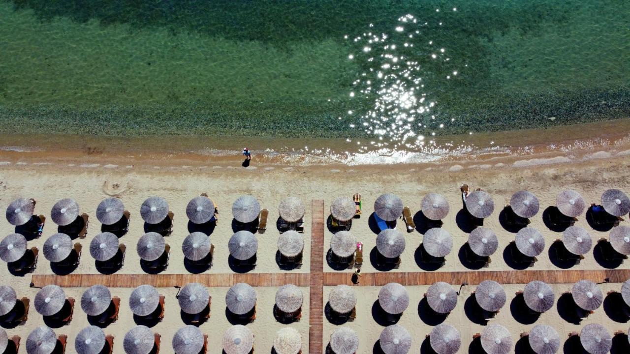 Beach Front Villa Nea Kallikrateia Dış mekan fotoğraf